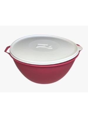 BACIA CORAL COM TAMPA TRANSPARENTE 5,5L UN. UAUPLAS