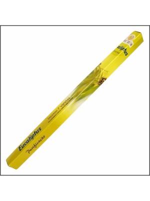 INCENSO EUCALIPTO UN