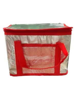 BOLSA TERMICA 8L 28X15X20CM UN. FU XING