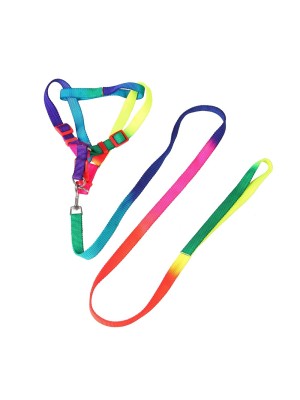 GUIA C/ PEITORAL ARCO-IRIS 2CMX1,2M UN. INGA