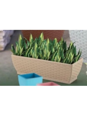 Jardineira Rattan Retangular Palha – Decoração Sofisticada para Casa e Jardim