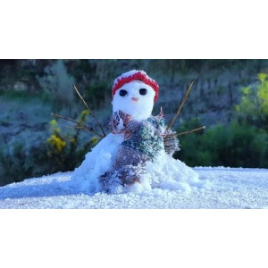 Acessórios de Inverno